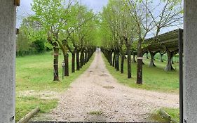Casale Sciarra